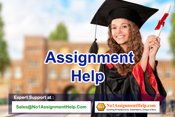 Assignment Help