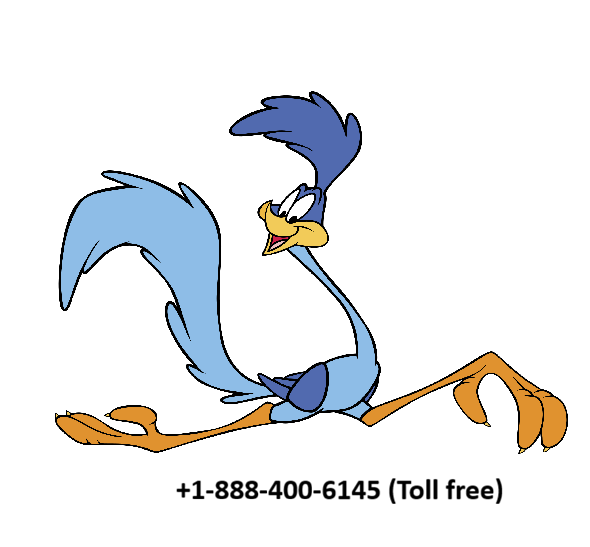 How to Get In Touch with Roadrunner Email Support